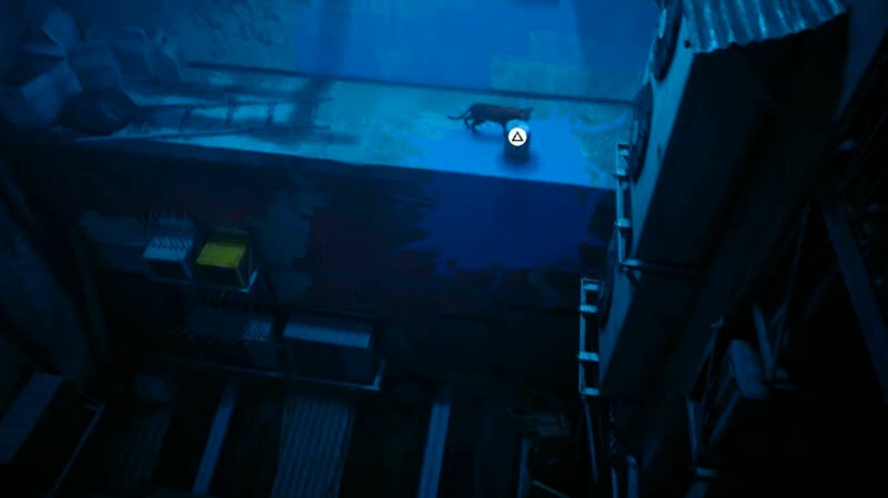 Мёртвый город прохождение Stray