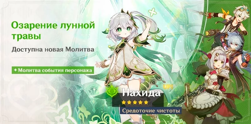 Озарение лунной травы баннер