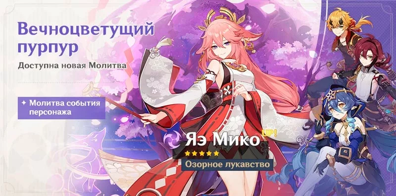 Вечноцветущий пурпур реран