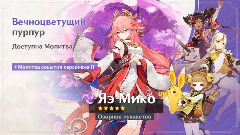 Вечноцветущий пурпур геншин