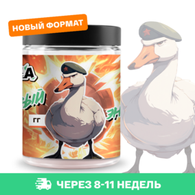 Энергетик ИМБА ГГ 20 порций